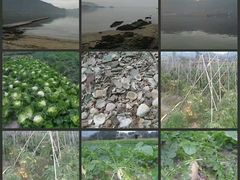 -坝光海滩