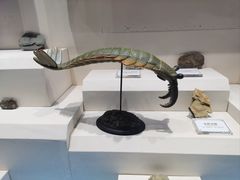 -辽宁古生物博物馆