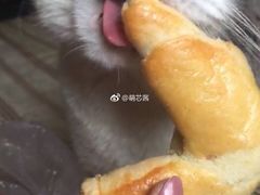 -一大糕点(纬六路店)