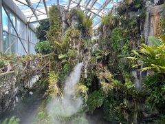 -昆明植物园