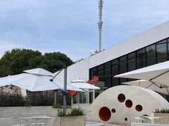 -同里国家湿地公园