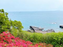 -涠洲岛火山国家地质公园