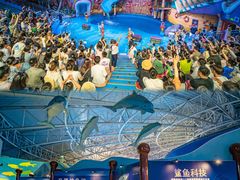 -烟台海昌鲸鲨海洋公园