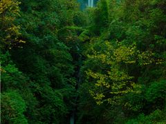 -华蓥山天意谷景区