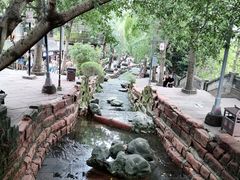 -黄龙溪古镇