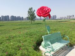 -汉江湾体育公园