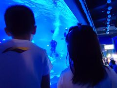 -烟台海昌鲸鲨海洋公园