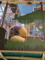 -卡通尼·Safari非洲探索乐园·生日会(金桥国际商业广场店)