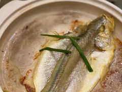 极品黄鱼-禧瑞都大饭店(吊桥路店)