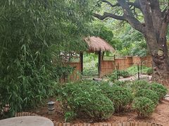-大连植物园