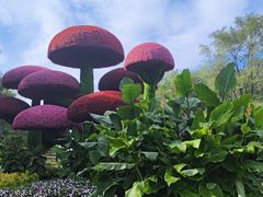 -沈阳植物园