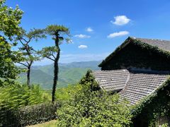 -莫干山风景区