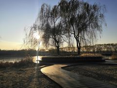 -大兴滨河森林公园