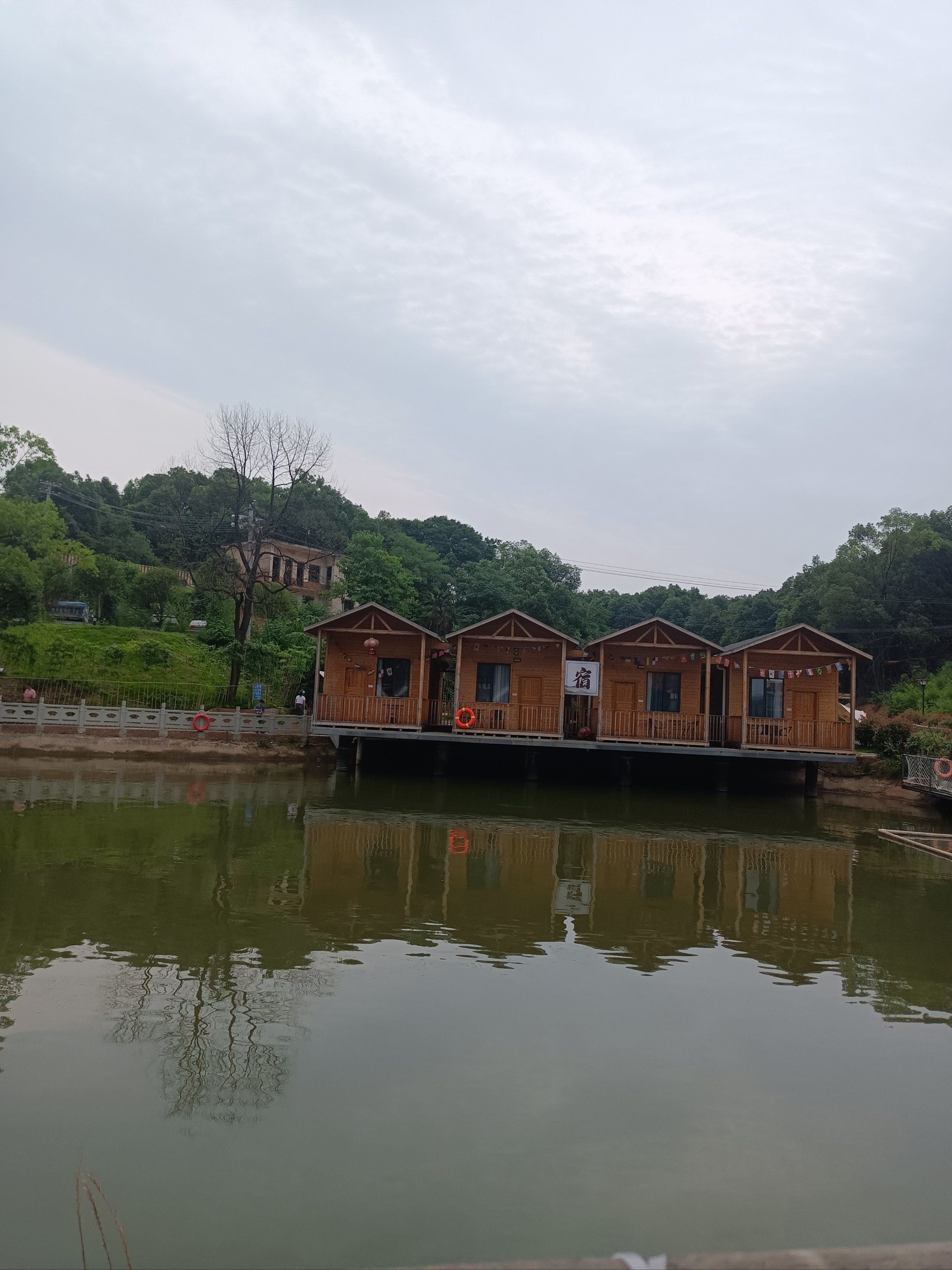 一片绿意盎然的好地方