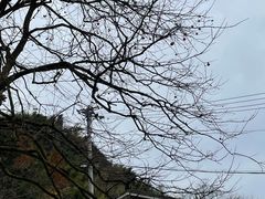 -丹山赤水风景名胜区