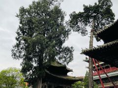 -报恩寺(平武县)