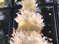 -BLACKSWAN黑天鹅(环球店)