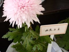 -杭州植物园