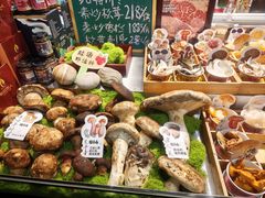 -菌自由丨野生菌火锅特色庭院餐厅(丽江古城店)