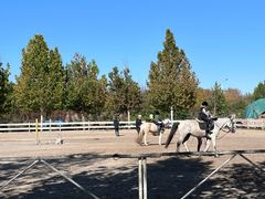 -北京群众马术培训基地