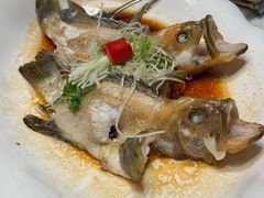 -聚福宝合苑食府(南头镇店)