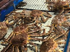 -开海·红岛海鲜虾水饺(石老人店)