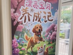 -美联众合爱康动物医院•复杂内科•肿瘤科•牙科•腔镜诊疗中心