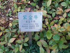 -广州神农草堂中医药博物馆