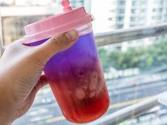 -Husky Go! 哈士奇体验馆·宠物咖啡厅狗咖