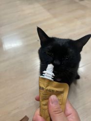 -竹马造型工作室