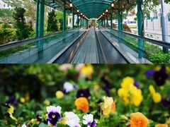 -龙环葡韵住宅式博物馆