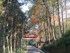 -午潮山国家森林公园