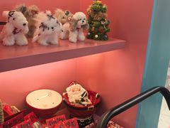 -FAELING PETS美天灵宠物(合生汇店)