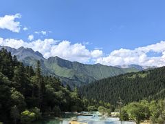 -黄龙山原始森林景区