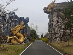 -宜兴龙背山森林公园