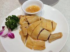 -大东海海鲜酒楼(渔人码头总店)