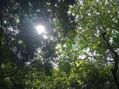-火炉山森林公园