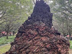 -海口火山口国家地质公园
