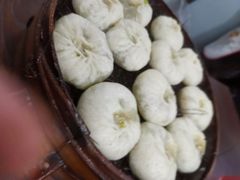 鲜肉包-舒小笼松针小笼包