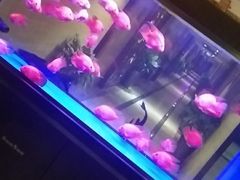 -重庆家富富侨养生会所全省示范店(东五路店)