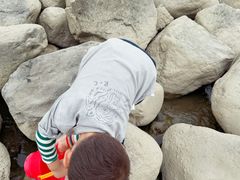 -吴淞炮台湾湿地森林公园烧烤区