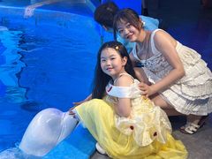 -海合安成都极地海洋公园