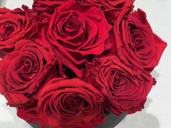 -恒悦尚品(上海展览中心店)