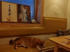 -柴の食堂·日式家庭料理·熊之肆(大学路店)
