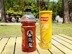 -上海共青森林公园