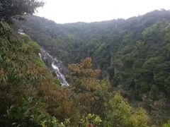 -九鲤湖风景区