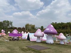 -黄龙溪欢乐田园