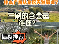 -风云岭森林公园