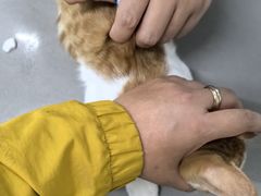 -爱侣宠医·鹦鹉专科·小型哺乳类·异宠专科(灵石路店)