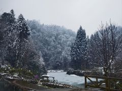 -龙苍沟森林公园